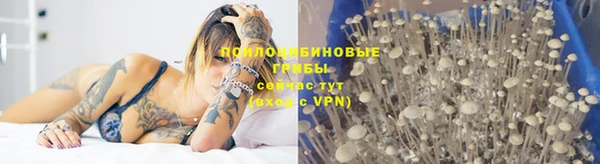 MDMA Аркадак