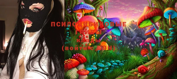 ECSTASY Армянск