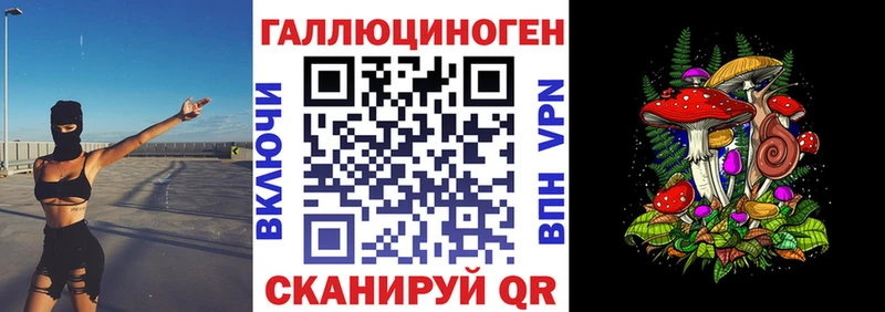 Псилоцибиновые грибы Psilocybe  Купить где  Анадырь 
